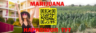 молекула духа Донской