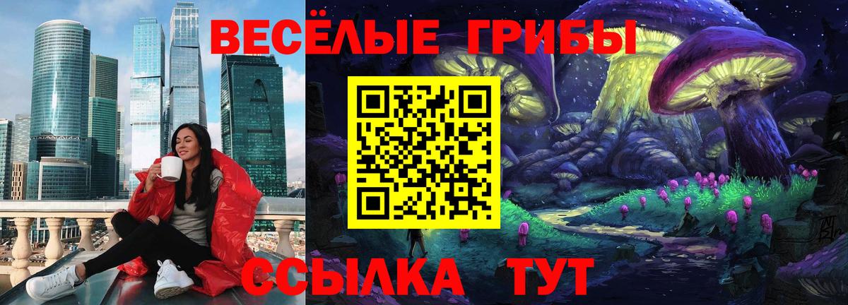 Галлюциногенные грибы MAGIC MUSHROOMS Междуреченск